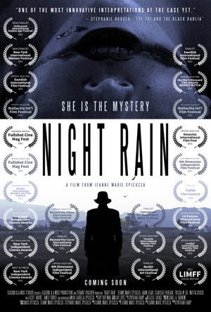 Night Rain's poster