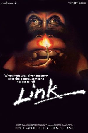 Link's poster