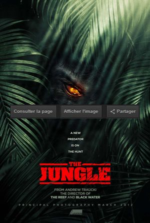 The Jungle's poster