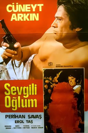 Sevgili Oglum's poster image