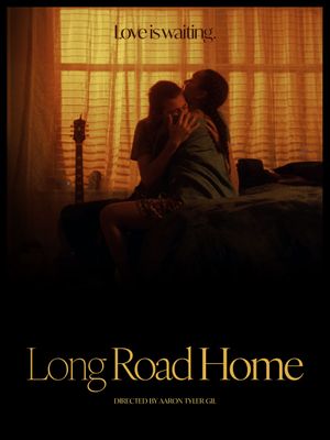 Long Road Home's poster