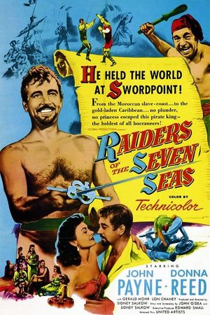 Raiders of the Seven Seas's poster image