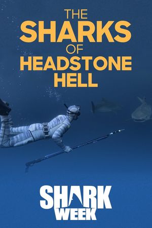 The Sharks Of Headstone Hell's poster