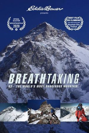 Breathtaking K2: The World's Most Dangerous Mountain's poster