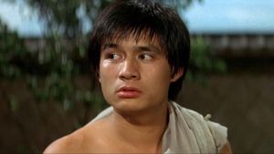 The New Shaolin Boxers's poster