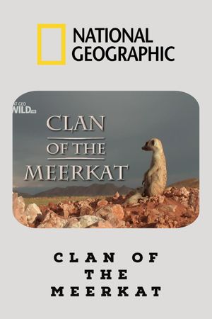 Clan of the Meerkat's poster