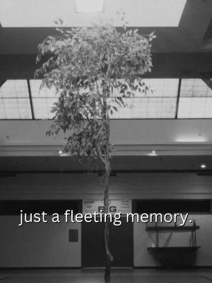 just a fleeting memory.'s poster image