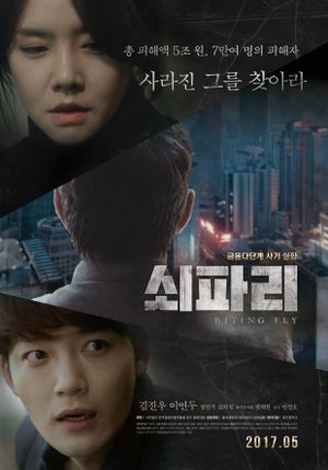 Biting Fly's poster