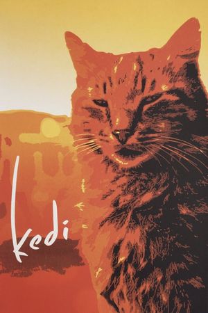 Kedi's poster