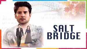 Salt Bridge's poster