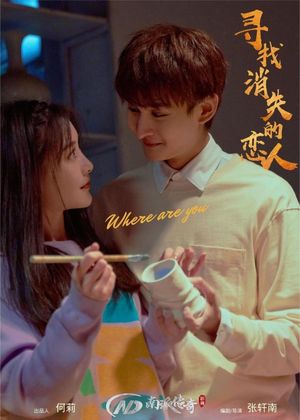 寻找消失的恋人's poster