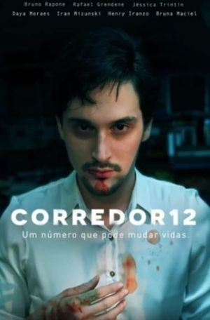 Corridor 12's poster image