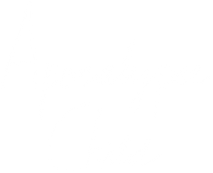 Apocalypse Child's poster