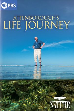 Attenborough's Life Journey's poster