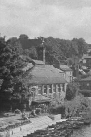 Broad Acres's poster