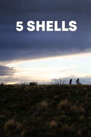 5 Shells's poster