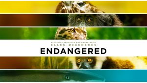 Endangered's poster
