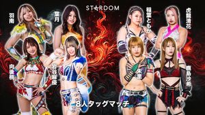 Stardom 14th Anniversary Supreme Fight 2025 In Korakuen's poster