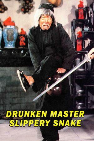 Mad Mad Kung Fu's poster image