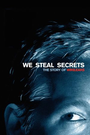 We Steal Secrets's poster