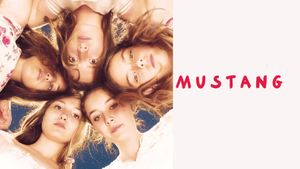 Mustang's poster