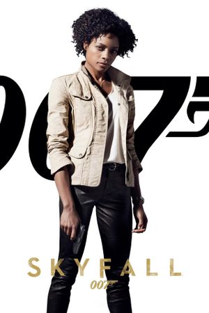 Skyfall's poster