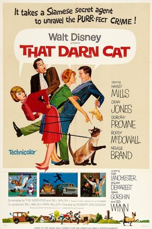 That Darn Cat!'s poster