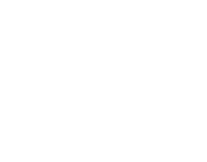 Cats's poster