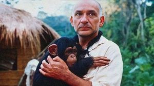 O Quinto Macaco's poster