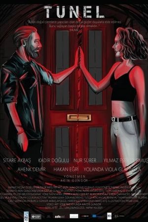 Tunnel's poster