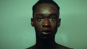 Moonlight's poster