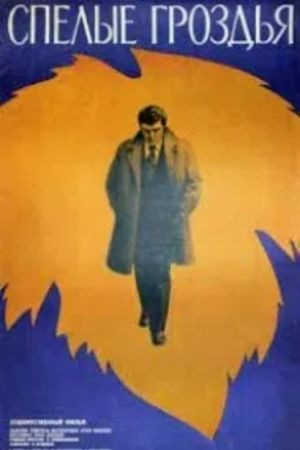 ანარეკლი's poster