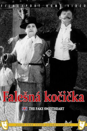 Falesná kocicka aneb Kdyz si zena umíní's poster