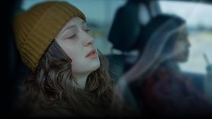The Price of Fitting In's poster