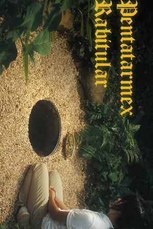 Pentatarmex Rabitular's poster