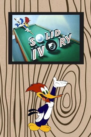 Solid Ivory's poster