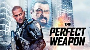 The Perfect Weapon's poster