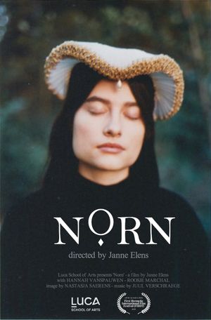 Norn's poster image