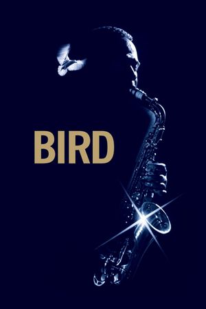 Bird's poster