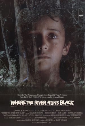 Where the River Runs Black's poster