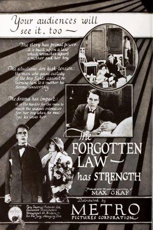 The Forgotten Law's poster image