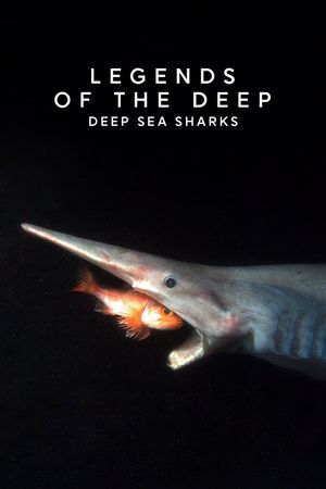 Legends of the Deep: Deep Sea Sharks's poster