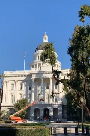 Calamity in the Capital of California's poster