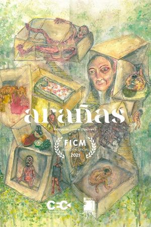 Arañas's poster image