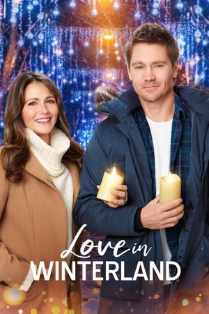 Love in Winterland's poster