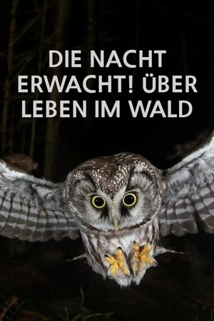 Die Nacht erwacht! Über Leben im Wald's poster