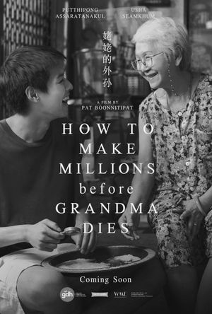 How to Make Millions Before Grandma Dies's poster