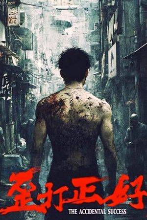 歪打正好's poster