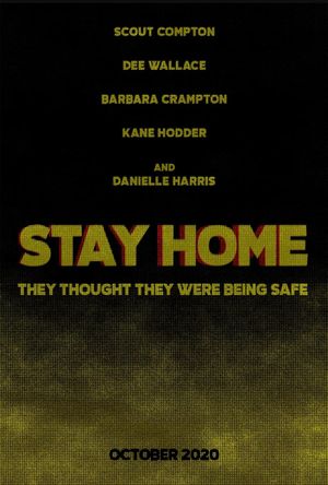 Stay Home's poster