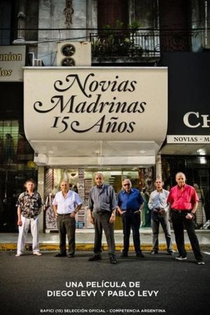 Novias Madrinas 15 Años's poster image